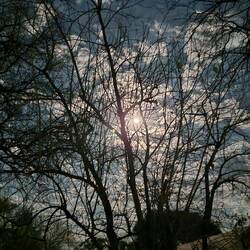 Full moon in Africa.