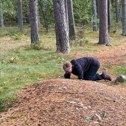 Was sucht mein Schatz 🥰