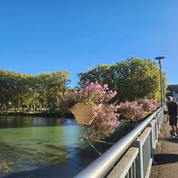 Crossing river at Aire sur L' Adore