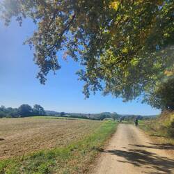 Walking walking with faint view of Pyrenees in the distance