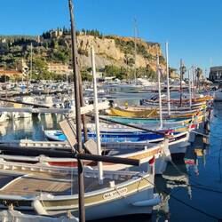 Cassis