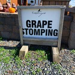 Ich habe mich entschlossen nicht zu stampfen😂