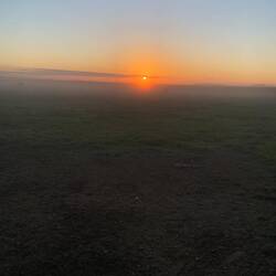 Der Bodennebel versteckt sie ein bisschen