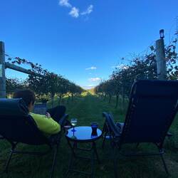 Barbera ... erstmals gesetzt 2010!