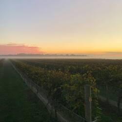 Ganz langsam kommt sie hoch