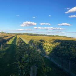 Ich bin ja gerne auf dem campground-aber diese Aussicht aus dem Wohnzimmer 👍🏻