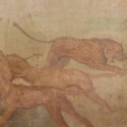 Animal fresco