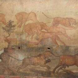 Animal fresco