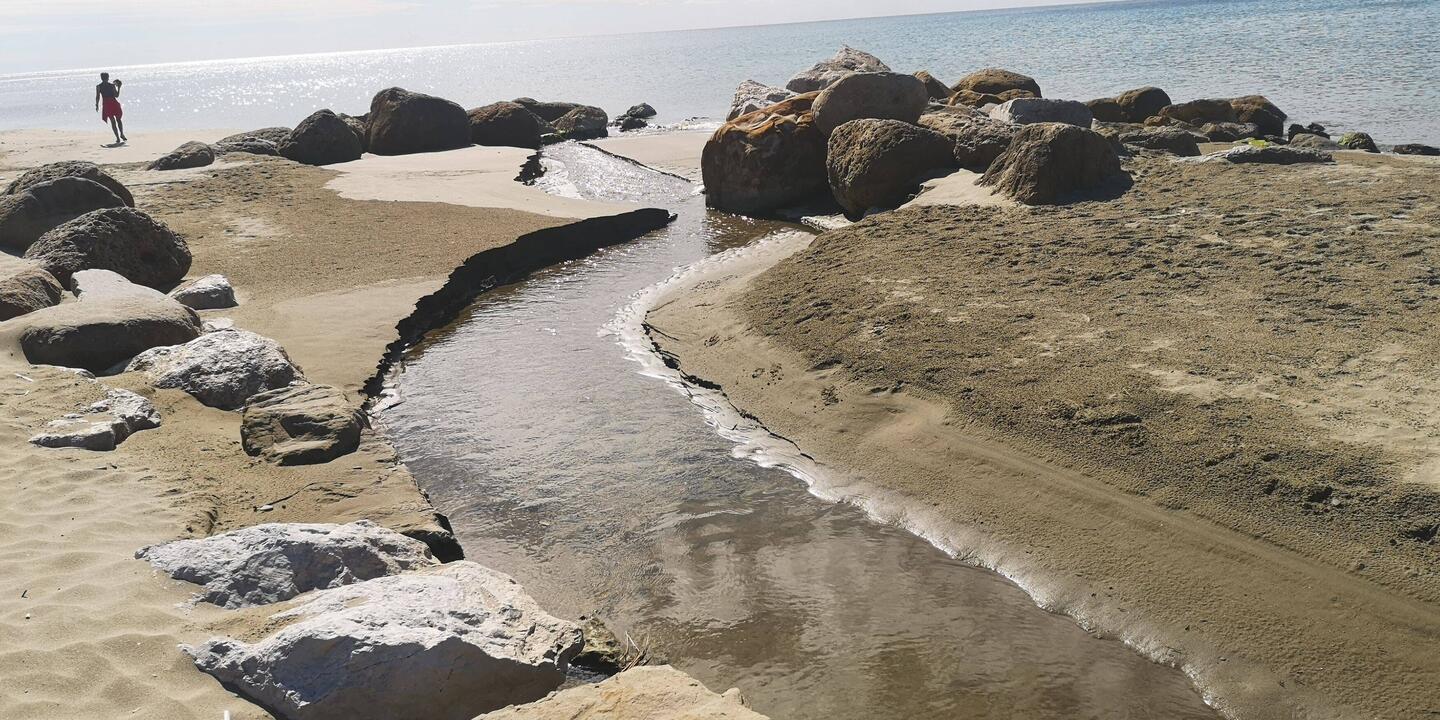 Süßwasser trifft Salzwasser