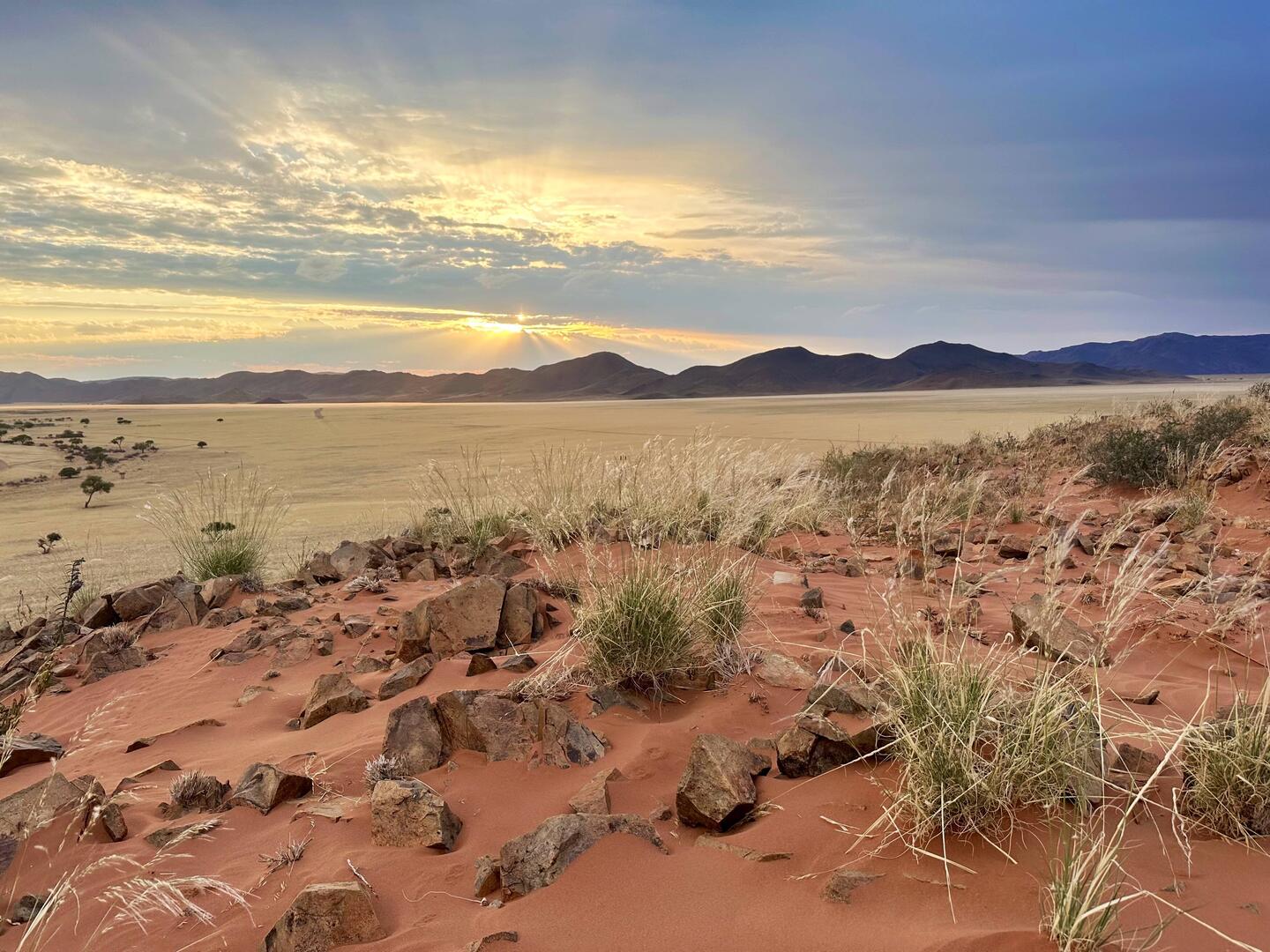 Guten Morgen, neuer Tag