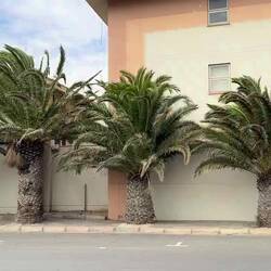 Erstmal genug geschwitzt, an der Küste weht eine kühle Brise