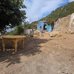 Visiting three growers high up in the mountains