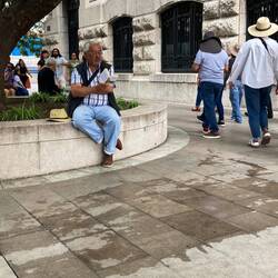 A rare sight--a reader! Outside Bellas Artes