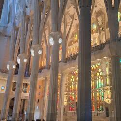 Tree like columns opening up and spreading out as they reach the top