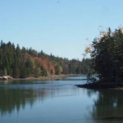 Looking up Frazer Creek