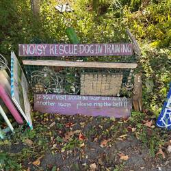 Humor at Whopaints, thinking about Indy.