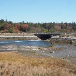The Bridge over Frazer Creek