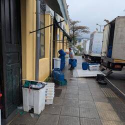 Hintertür vom Markt, werden sie Fischreste eingeladen