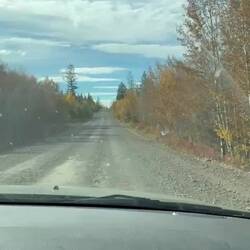 Die holprige Straße zum Ziel.