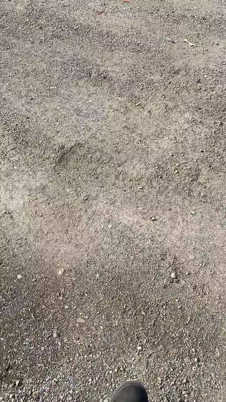 Zwischenstopp nach Williams Lage. Schusslöcher in Schilder ist keine Seltenheit.