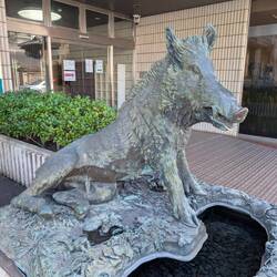 Was macht das denn hier?