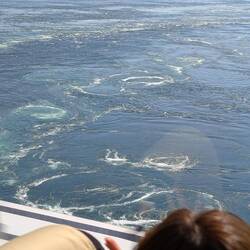 Whirlpools, from the bus