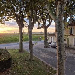 Sunrise