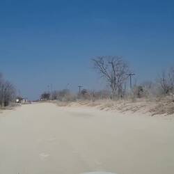 Molto jumbo. Heading towards the river. About 40 of them