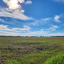 Pyrenees in distance
