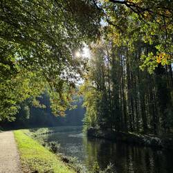 Rouse River, autumn is a really great time to visit