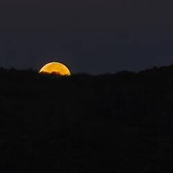 Der Mond geht unter, unser letzter Urlaubstag bricht an.