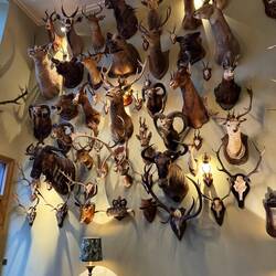Room of death at the Fife Arms
