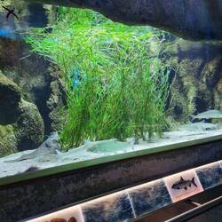 Tolle Erlebnisausstellung mit Audioguide