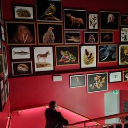 ausgestorbene und bedrohte Tierarten