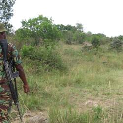 Spaziergang mit einem Ranger