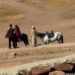 They offer horseback riding on the site