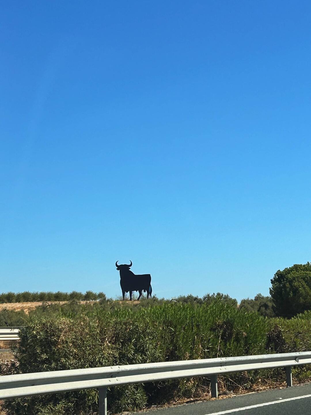 🐂