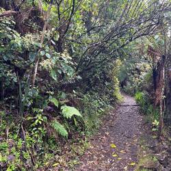 Leider zu nass zum wandern