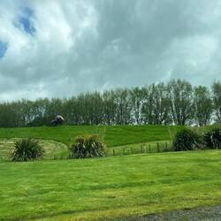 Da oben thront ein Kiwi