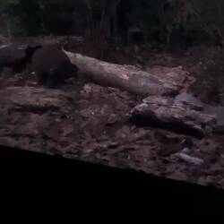 🤫 ganz vergessen, dass man nicht filmen und fotografieren darf