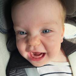 Kauleiste wächst und gedeiht