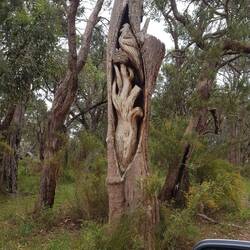 Chainsaw sculptures... just some of the many designs