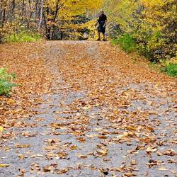 Another try at the arty picture