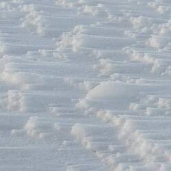 This is what happens to snow when there is a lot of wind. Nice.