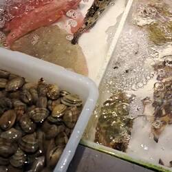 Pick your favorite and take 'em home for dinner.