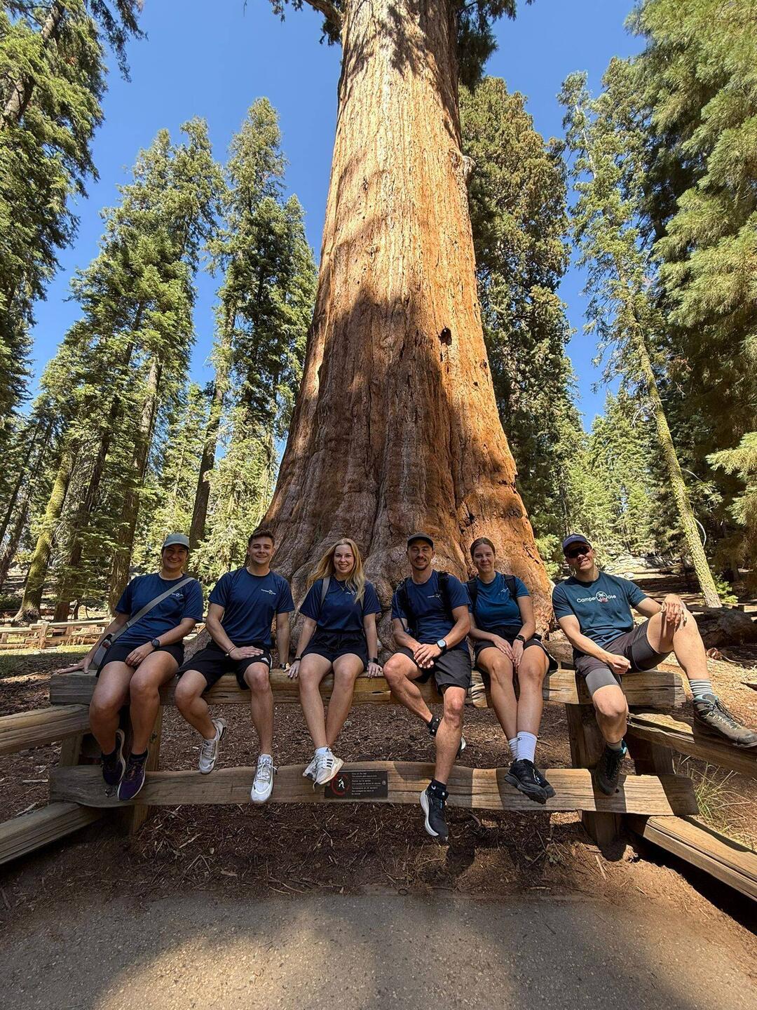 Team CO im Sequoia NP