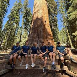 Team CO im Sequoia NP