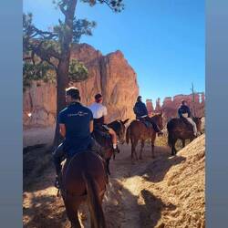 Highlight war Reiten durch den Bryce Canyon