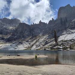 Sequoia NP