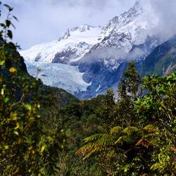 Regenwald und Gletscher direkt nebeneinander